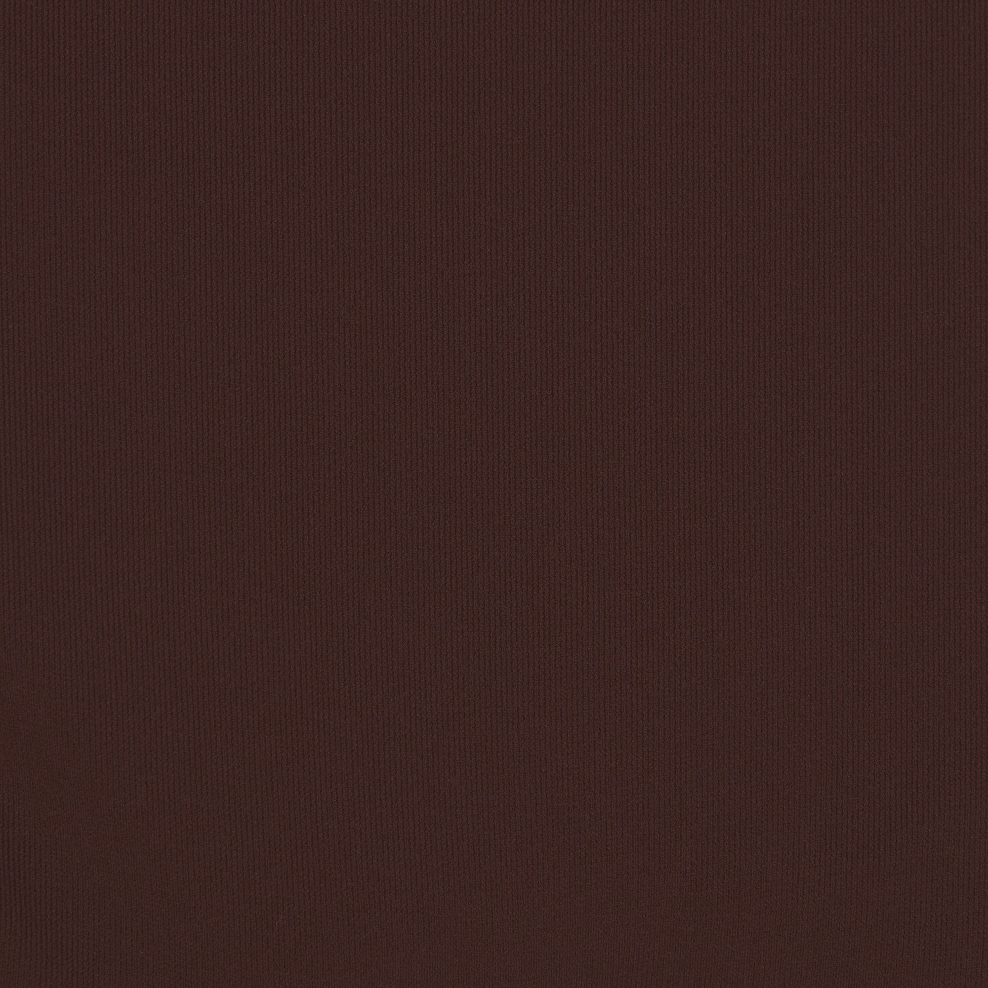 FITS EVERYBODY BRIEF | COCOA